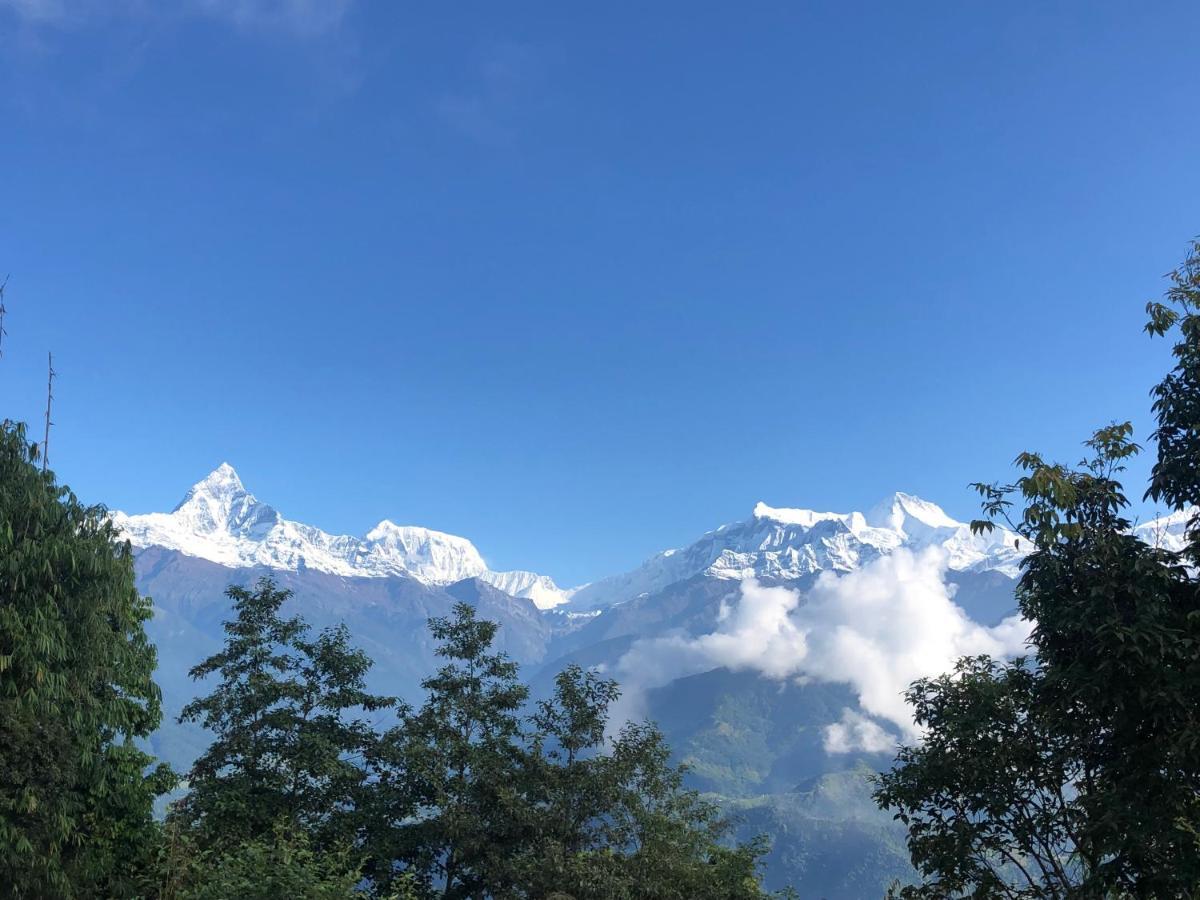 Hotel Pristine Himalaya Pokhara Extérieur photo